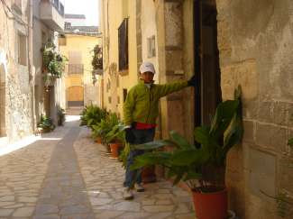 DSC08282.JPG